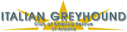 Italian Greyhound Club of America Rescue of Arizona